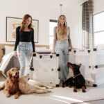Een selectie van hoogwaardige dierenproducten voor honden en katten die online beschikbaar zijn in het VK.